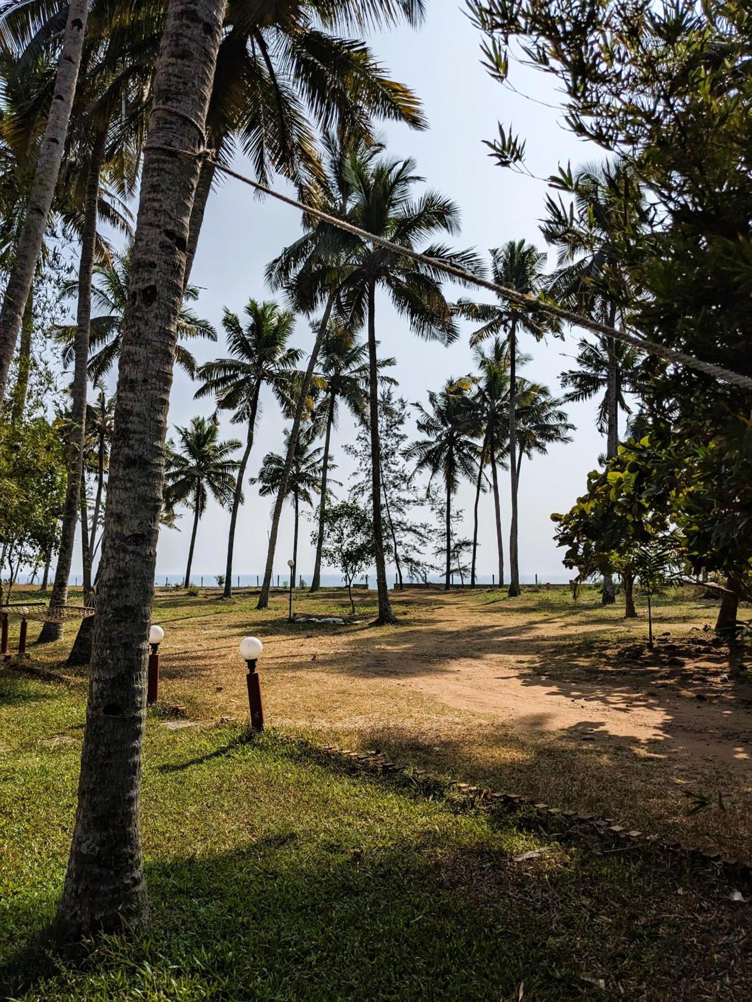 Baycliff Cottages Varkala Ngoại thất bức ảnh