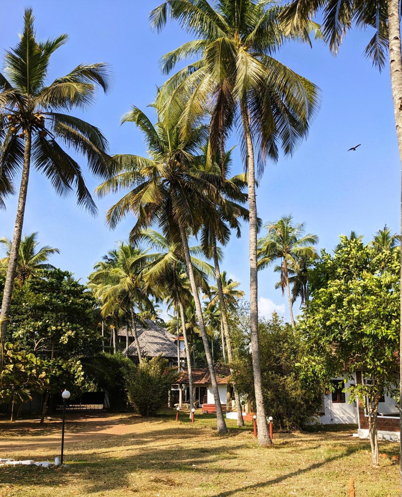 Baycliff Cottages Varkala Ngoại thất bức ảnh